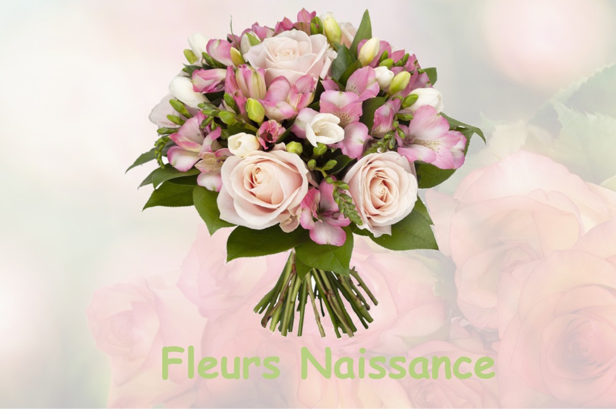 fleurs naissance JUZES