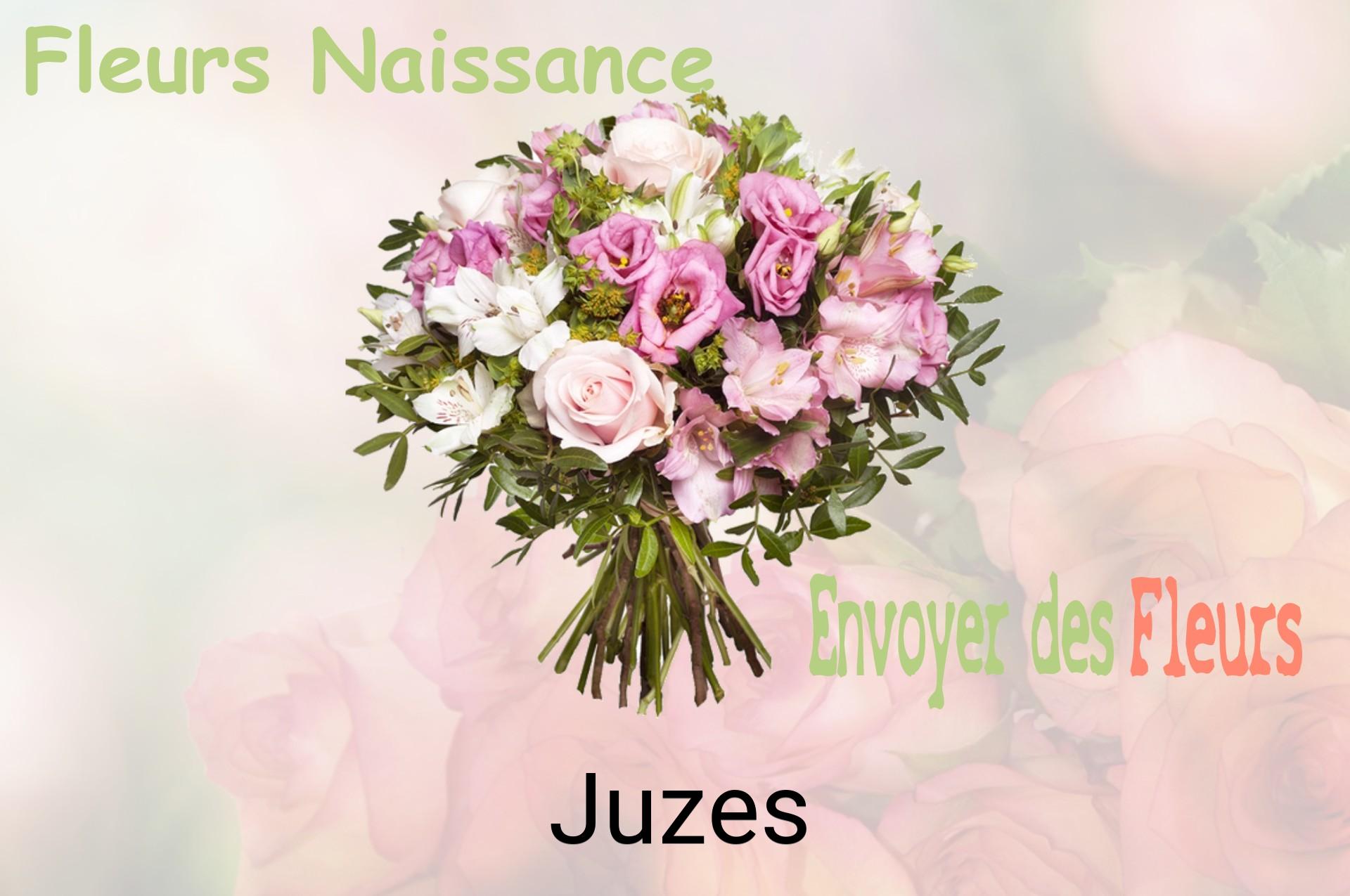 Bouquet de fleurs de naissance livré à Juzes