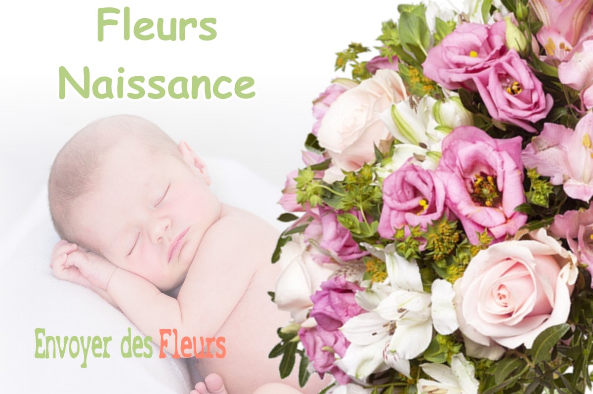 lIVRAISON FLEURS NAISSANCE à JUZES